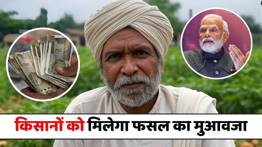 Crop Compensation 2025