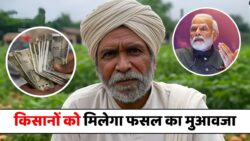 सरकार ने 6 जिलों को दी मंजूरी, 7 लाख से अधिक किसानों को मिलेगा फसल नुकसान मुआवजा Crop Compensation 2025
