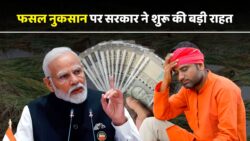 Crop Compensation 2025 – सरकार ने 6 जिलों में मंजूरी दी, 7 लाख किसानों को मिलेगा राहत पैसा