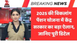 वृद्ध, विधवा और विकलांग पेंशन में हुआ बड़ा बदलाव, जानें नई राशि और नियम Pension Scheme 2025